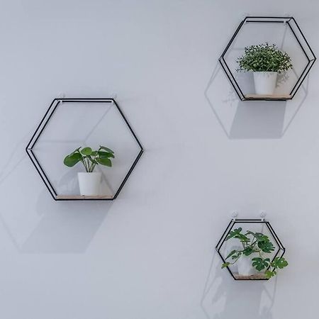 Apartmán Sotto Le Due Torri 5* Boloňa Exteriér fotografie
